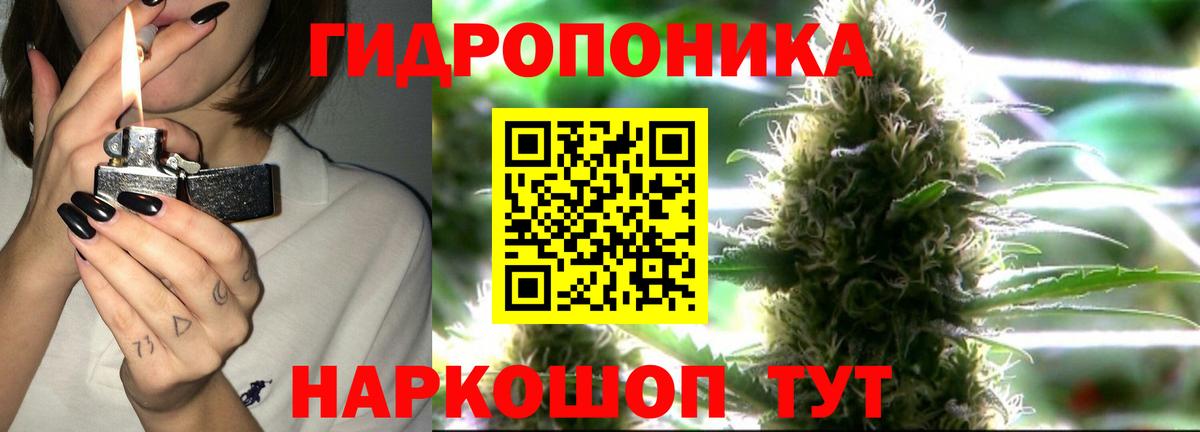 Каннабис гибрид  Бошки Шишки OG Kush  Канабис план  Вход с VPN  Советский 